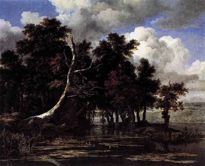 Oaks by a Lake with Waterlilies, Jacob Isaacksz. van Ruisdael